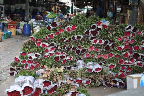 Plein de roses au marché