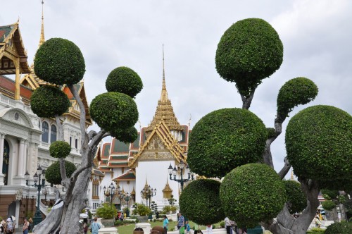 Des arbres superbes devant les monuments du Grand Palais