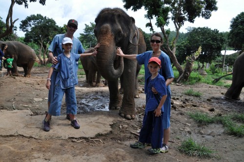 A la ferme des éléphants