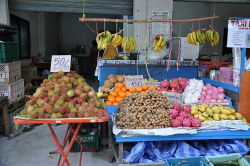 Miam les fruits exotiques…